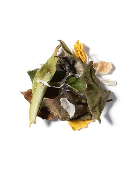 Herbata biała na zimno Dammann Bella Bianca 6x5g