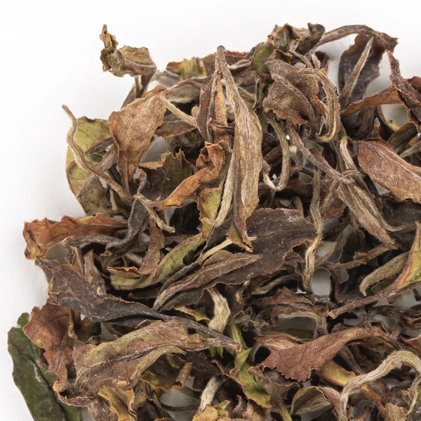 Herbata biała specialty Terroir Morning Dew White Tea 30g