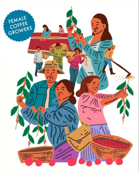 Kawa ziarnista Butterworth & Son Guatemala Misaela Silvestre 250g - NIEDOSTĘPNY 