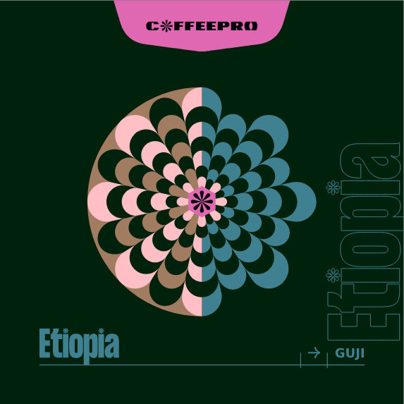 Kawa ziarnista CoffeePro Etiopia Guji 250g - NIEDOSTĘPNY