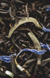 OUTLET - Herbata czarna Dammann Earl Grey Yin Zhen 50 saszetek