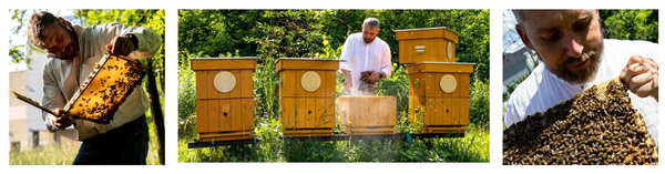 Miód wielokwiatowy Nasza Pszczelarnia 190g