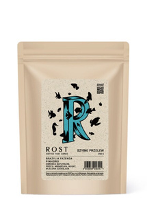 Kawa ziarnista ROST Brazylia Fazenda Pinheiro Szybki Przelew 250g - opinie w konesso.pl
