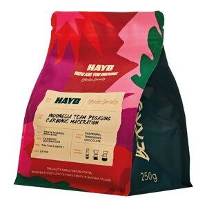 Kawa ziarnista HAYB IIndonesia Team Pegasing Carbonic Maceration 250g - NIEDOSTĘPNY