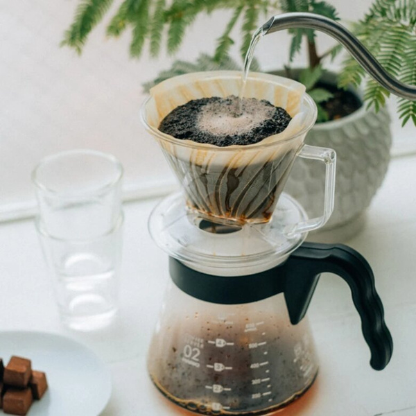 Plastikowy Drip Hario Pegasus 02 - Przezroczysty