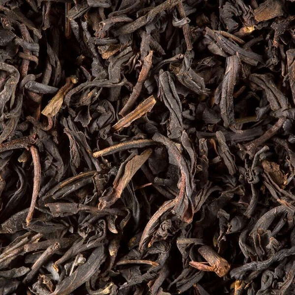 Herbata czarna Damman Darjeeling 50 saszetek