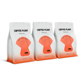 Kawa ziarnista COFFEE PLANT FLOW Juicy Fruit 250g