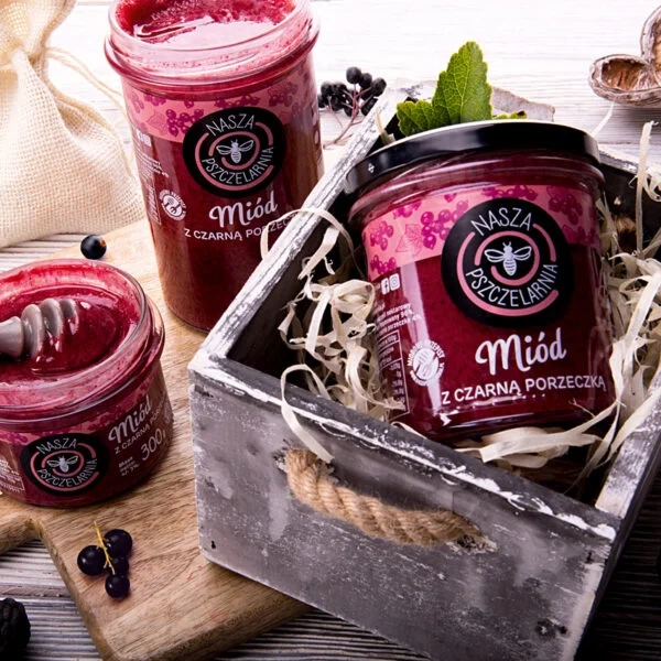 Miód z czarną porzeczką Nasza Pszczelarnia 270g