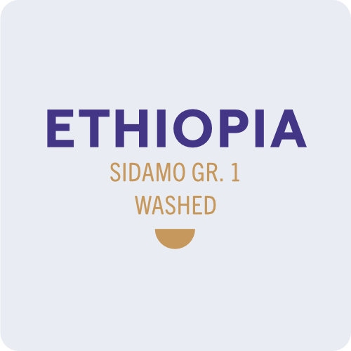 Kawa ziarnista Coffee Grange Ethiopia Sidamo Gr.1 Washed 250g