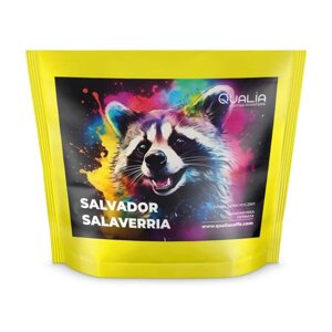 Kawa ziarnista Qualia Salvador Salaverria 250g – NIEDOSTĘPNY