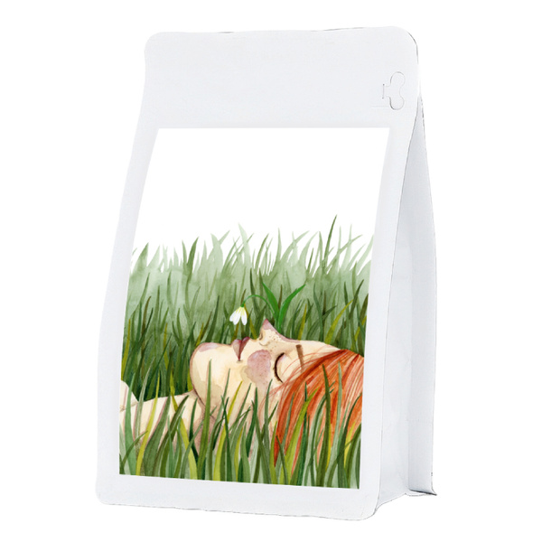 Kawa ziarnista illucoffee by szumowska Oddech wiosny 250g