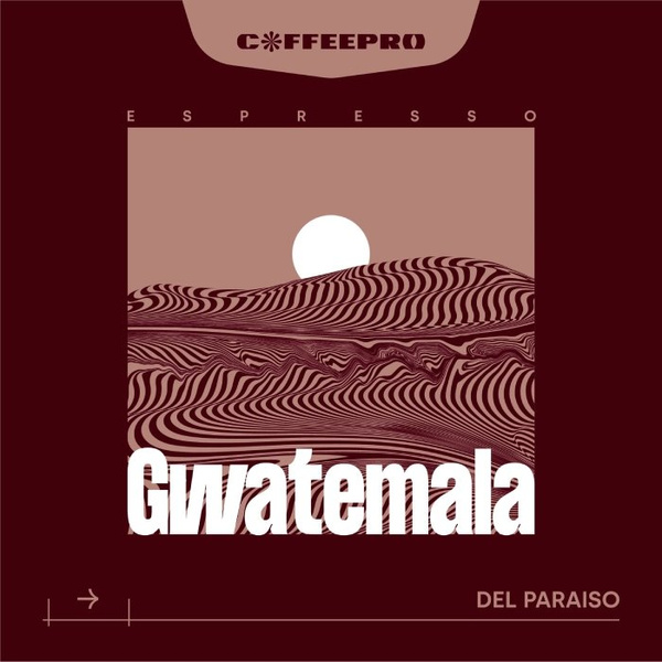 Kawa ziarnista CoffeePro Espresso Gwatemala 1kg - NIEDOSTĘPNY