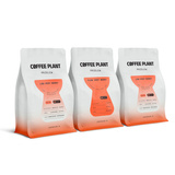 Kawa ziarnista COFFEE PLANT LOW Very Berry 250g