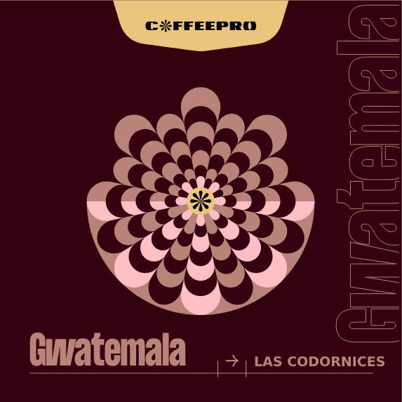 Kawa ziarnista CoffeePro Gwatemala Las Codornices 250g - NIEDOSTĘPNY