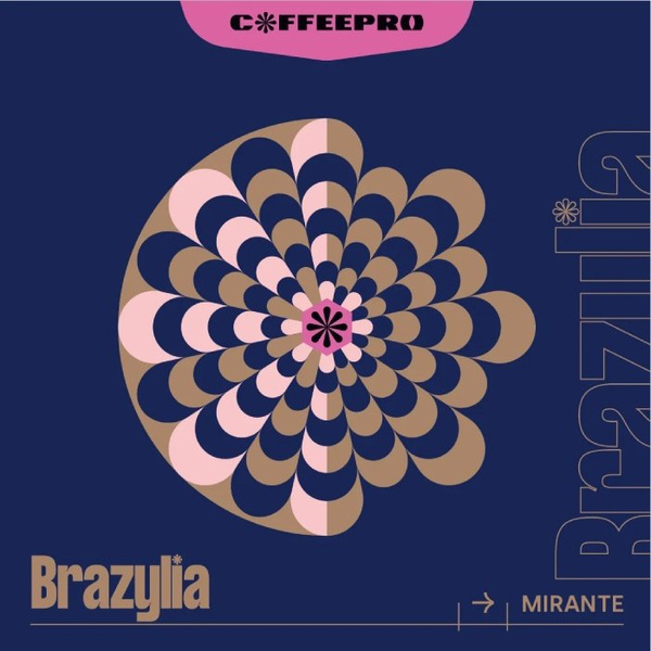 Kawa ziarnista CoffeePro Brazylia Mirante 250g - NIEDOSTĘPNY