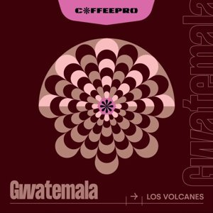 Kawa ziarnista CoffeePro Gwatemala Los Volcanes FILTR 250g - NIEDOSTEPNY