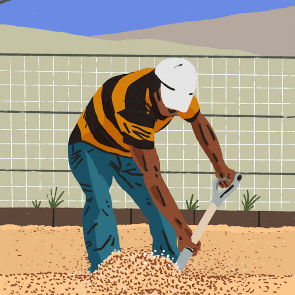 Kawa ziarnista Butterworth & Son Costa Rica Sabanilla de Alajuela 250g - NIEDOSTĘPNY 