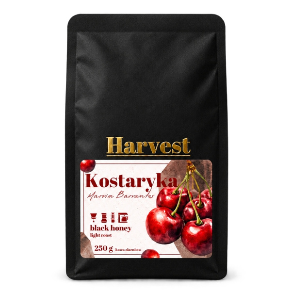 Kawa ziarnista Harvest Kostaryka Marvin Barrantes 250g