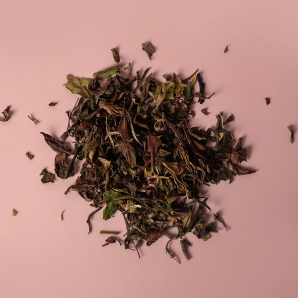 Herbata biała Lune Tea White Peony 30g