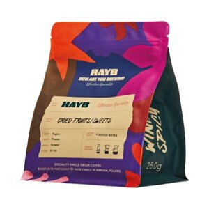 Kawa ziarnista HAYB Costa Rica Las Lajas Black Diamond Natural 250g – NIEDOSTĘPNY