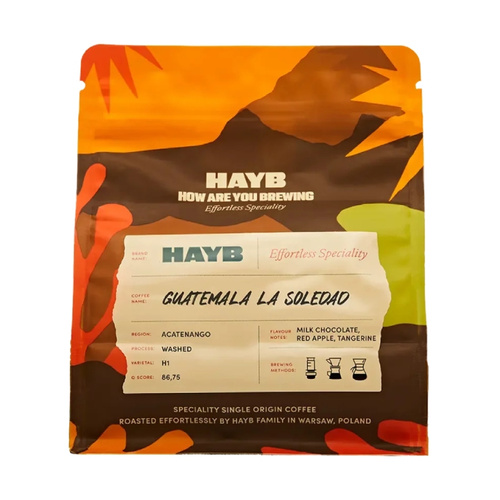 Kawa ziarnista HAYB Guatemala La Soledad 250g – NIEDOSTĘPNY
