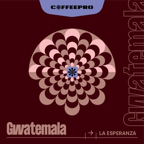 Kawa ziarnista CoffeePro Gwatemala La Esperanza 250g - NIEDOSTĘPNY