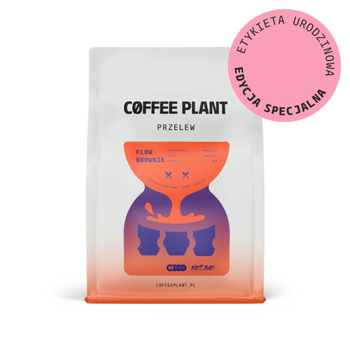 Kawa ziarnista COFFEE PLANT Flow Brownie Filtr NOT BAD STUDIO 250g - NIEDOSTĘPNY - opinie w konesso.pl