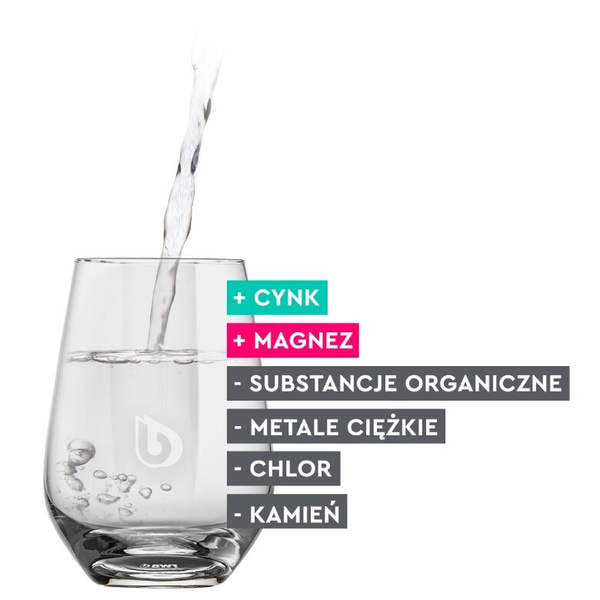 Wkład filtrujący wodę BWT Zinc + Magnesium Mineralized Water - 3 sztuki