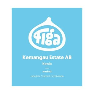 Kawa ziarnista Figa Coffee Kenia Kemangau Estate AB FILTR 250g - NIEDOSTĘPNY
