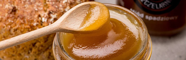 Miód spadziowy Nasza Pszczelarnia 190g