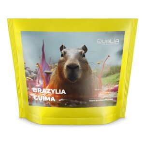 Kawa ziarnista Qualia Brazylia Guima FILTR 250g - opinie w konesso.pl