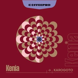 Kawa ziarnista CoffeePro Kenia Karogoto 250g - NIEDOSTĘPNY