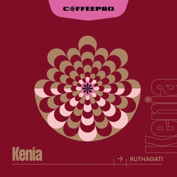 Kawa ziarnista CoffeePro Kenia Ruthagati 250g - NIEDOSTĘPNY
