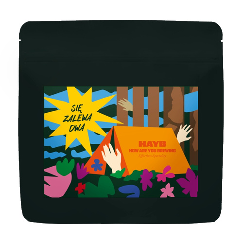 Kawa mielona HAYB SIE ZALEWA 250g