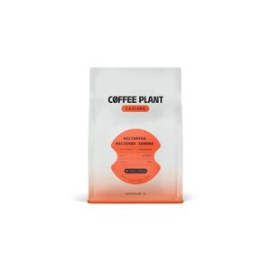 COFFEE PLANT CASCARA Hacienda Sonora 180g - opinie w konesso.pl