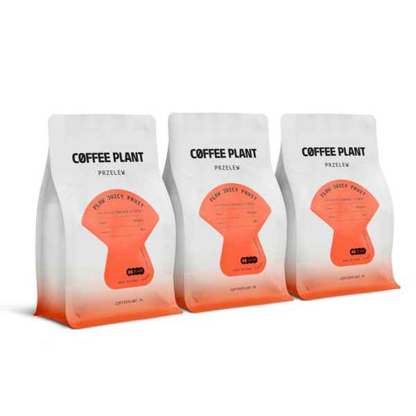 Kawa ziarnista COFFEE PLANT FLOW Juicy Fruit 250g