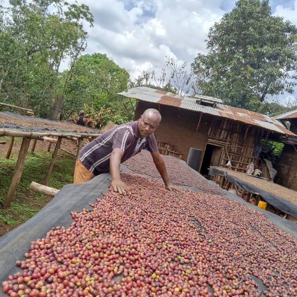 Kawa ziarnista ZAO Coffee Etiopia Sebseb Aba Mecha 250g – NIEDOSTĘPNY