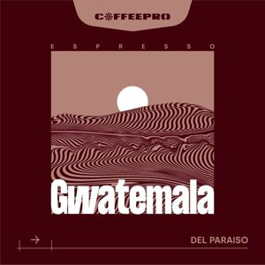 Kawa ziarnista CoffeePro Espresso Gwatemala 1kg - NIEDOSTĘPNY