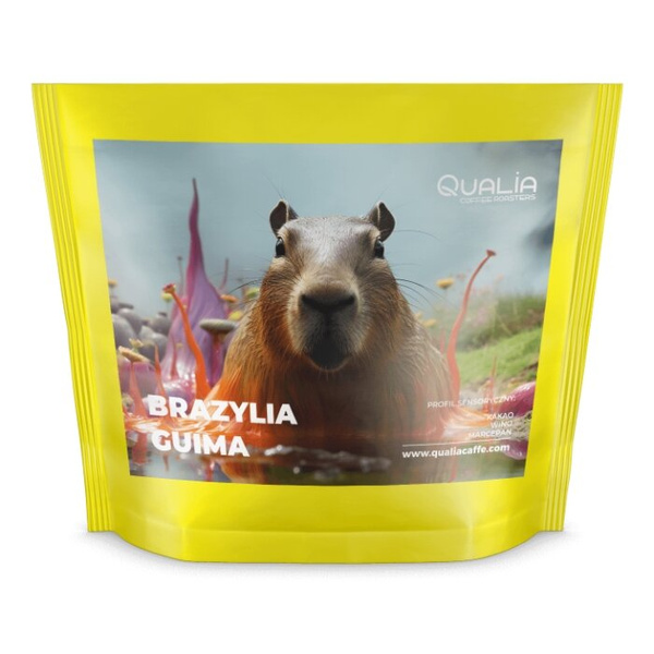 Kawa ziarnista Qualia Brazylia Guima FILTR 250g