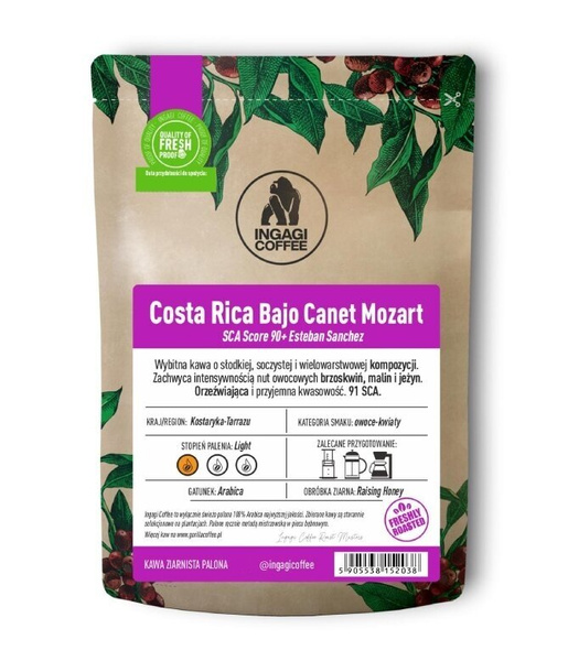 Kawa ziarnista Ingagi Coffee Kostaryka Bajo Canet Mozart 100g