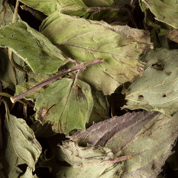 Herbata ziołowa Damman Menthe - miętowa 24 saszetki