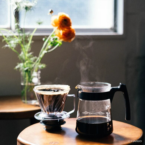 Szklany serwer Hario Pegasus 02 - 600 ml – NIEDOSTĘPNY