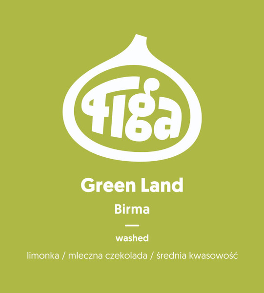 Kawa ziarnista Figa Coffee Birma Green Land Washed 250g - NIEDOSTĘPNY