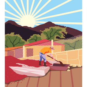 Kawa ziarnista Butterworth & Son Guatemala El Hato 250g - NIEDOSTĘPNY