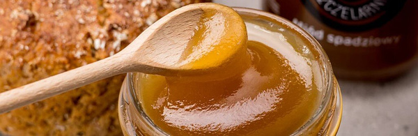 Miód spadziowy Nasza Pszczelarnia 450g