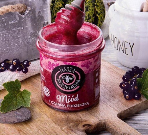Miód z czarną porzeczką Nasza Pszczelarnia 190g