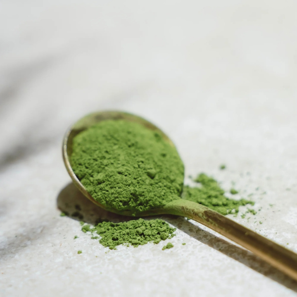 Matcha Ceremonialna Lune Tea 30g – NIEDOSTĘPNY