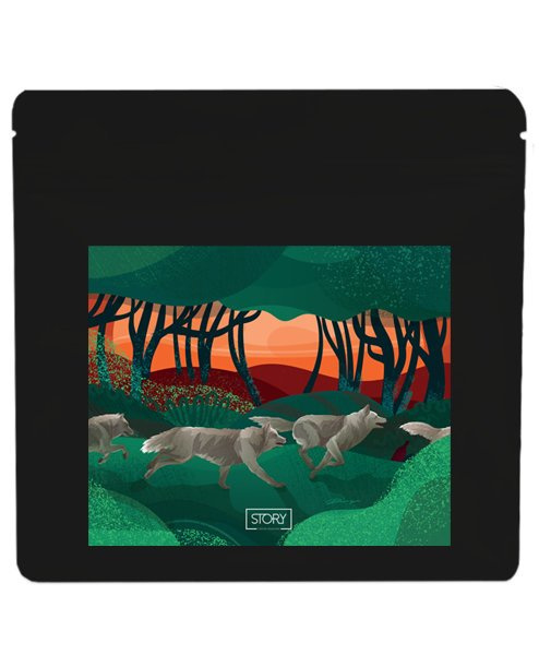 Kawa ziarnista Story Wild Coffee Kolumbia Finca el Mirador 250g - NIEDOSTĘPNY