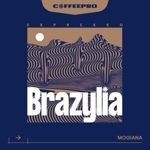 Kawa ziarnista CoffeePro Espresso Brazylia 250g - NIEDOSTĘPNY