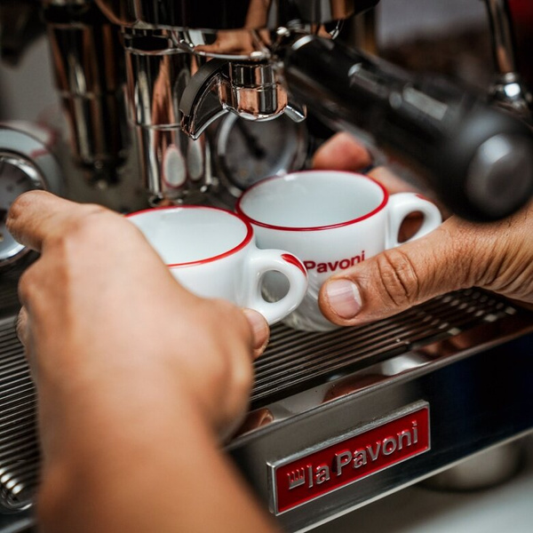 Ekspres do kawy La Pavoni Botticelli Specialty LPSBSS03EU